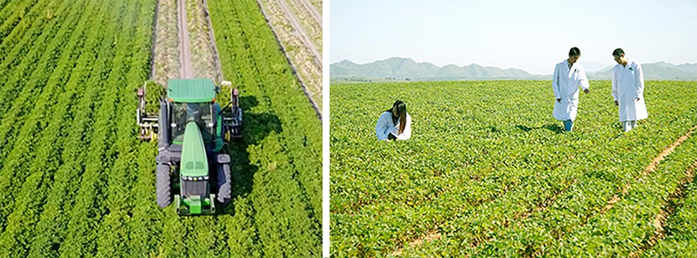 遼寧正業(yè)花生產(chǎn)業(yè)：共抗疫情，龍頭企業(yè)顯擔(dān)當(dāng)！(圖3)